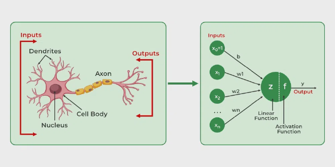 Artificial Neural Networks